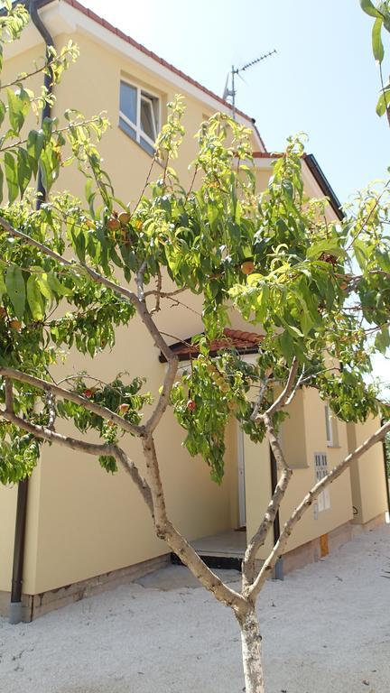 Apartment Una Pula Oda fotoğraf